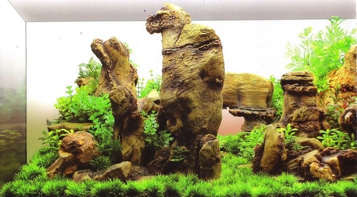 Утримання гуппі (15 фото): догляд за акваріумними рибками в домашніх умовах. Поради для початківців з утримання риб в маленькому акваріумі