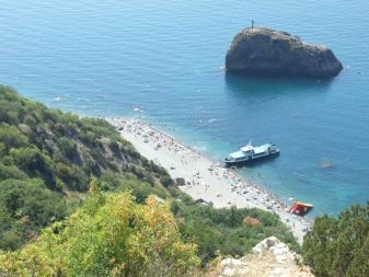 Відпочинок з собаками (30 фото): куди поїхати відпочивати в Криму? Де зупинитися у приватному секторі Анапи? Де можна відпочити на Азовському морі?