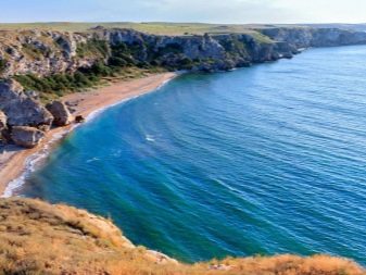 Відпочинок з собаками (30 фото): куди поїхати відпочивати в Криму? Де зупинитися у приватному секторі Анапи? Де можна відпочити на Азовському морі?