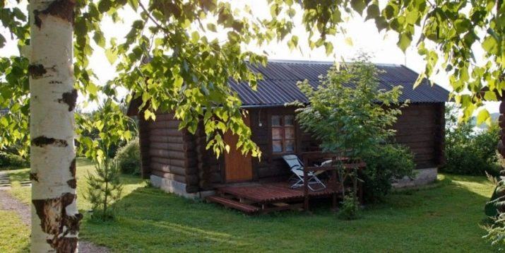 Відпочинок з собаками (30 фото): куди поїхати відпочивати в Криму? Де зупинитися у приватному секторі Анапи? Де можна відпочити на Азовському морі?