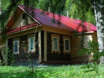 Відпочинок з собаками (30 фото): куди поїхати відпочивати в Криму? Де зупинитися у приватному секторі Анапи? Де можна відпочити на Азовському морі?