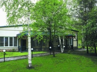 Відпочинок з собаками (30 фото): куди поїхати відпочивати в Криму? Де зупинитися у приватному секторі Анапи? Де можна відпочити на Азовському морі?
