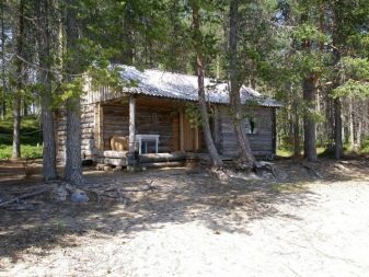 Відпочинок з собаками (30 фото): куди поїхати відпочивати в Криму? Де зупинитися у приватному секторі Анапи? Де можна відпочити на Азовському морі?