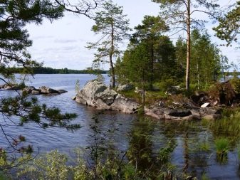 Відпочинок з собаками (30 фото): куди поїхати відпочивати в Криму? Де зупинитися у приватному секторі Анапи? Де можна відпочити на Азовському морі?