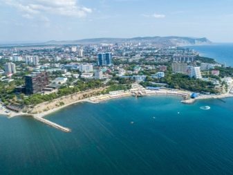 Відпочинок з собаками (30 фото): куди поїхати відпочивати в Криму? Де зупинитися у приватному секторі Анапи? Де можна відпочити на Азовському морі?