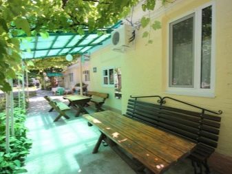 Відпочинок з собаками (30 фото): куди поїхати відпочивати в Криму? Де зупинитися у приватному секторі Анапи? Де можна відпочити на Азовському морі?