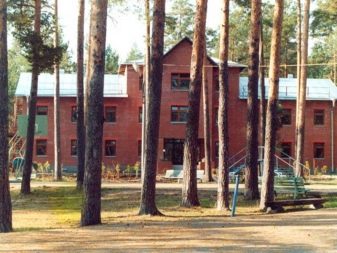 Відпочинок з собаками (30 фото): куди поїхати відпочивати в Криму? Де зупинитися у приватному секторі Анапи? Де можна відпочити на Азовському морі?
