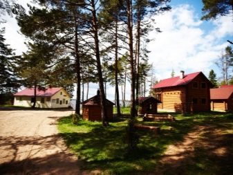 Відпочинок з собаками (30 фото): куди поїхати відпочивати в Криму? Де зупинитися у приватному секторі Анапи? Де можна відпочити на Азовському морі?