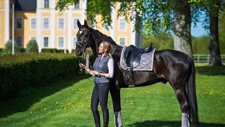 Вальтрап (26 фото): що це таке? Огляд потников від Eskadron, Anky, PS of Sweden та інших виробників. Як правильно зшити за викрійками? Які бувають види? Як правильно прати?