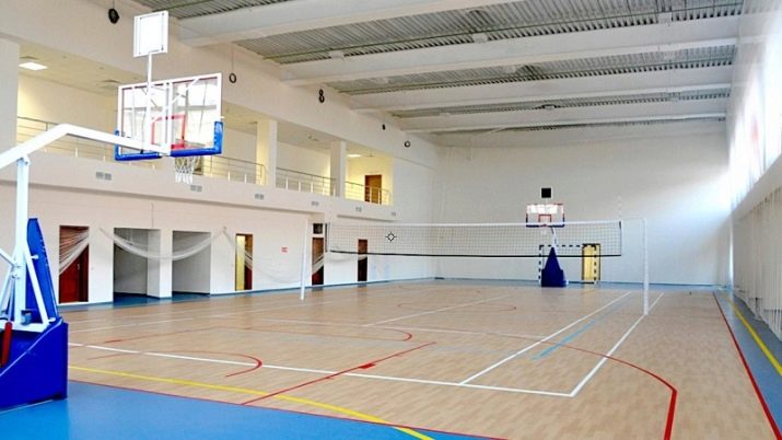 Вчитель фізкультури: обов’язки викладача фізичної культури на роботі. Загальна характеристика професії