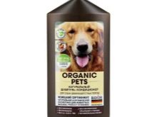 Вельш-спрингер-спанієль (28 фото): опис уельської породи, особливості змісту цуценят і дорослих собак