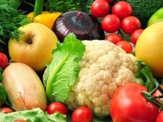 Вельштерьер (28 фото): опис породи, різновиди уельського тер’єра. Як дресирувати собак?