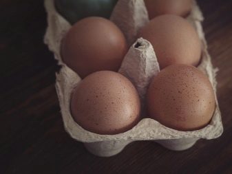 Вельштерьер (28 фото): опис породи, різновиди уельського тер’єра. Як дресирувати собак?