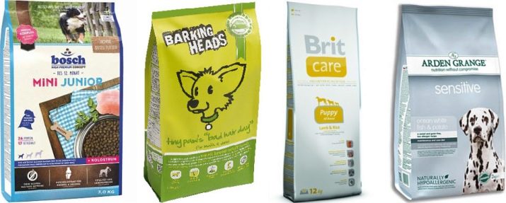 Вельштерьер (28 фото): опис породи, різновиди уельського тер’єра. Як дресирувати собак?