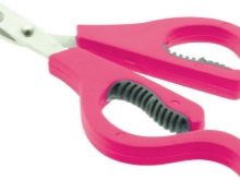 Вельштерьер (28 фото): опис породи, різновиди уельського тер’єра. Як дресирувати собак?