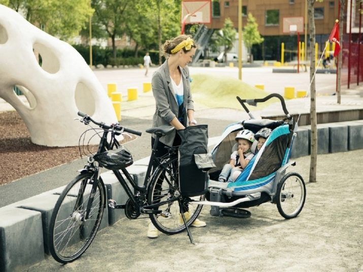 Велопричіп: особливості причепів «Бджілка» та «Джміль» для велосипеда, велосипедні вантажні і бічні причепи, моделі для перевезення собак та іншого вантажу