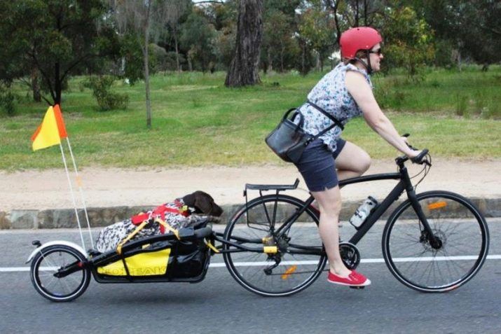 Велопричіп: особливості причепів «Бджілка» та «Джміль» для велосипеда, велосипедні вантажні і бічні причепи, моделі для перевезення собак та іншого вантажу