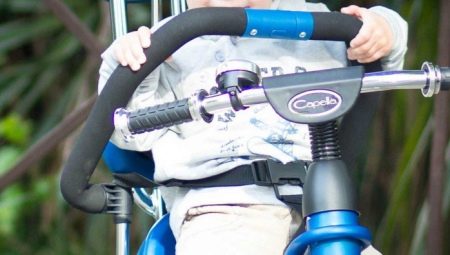 Велосипед Capella: огляд дитячих 2 – і 3-колісних велосипедів. Яких кольорів бувають? Хто є виробником? Поради щодо вибору