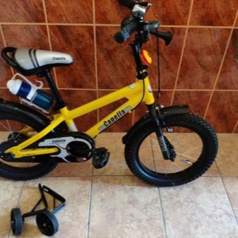 Велосипед Capella: огляд дитячих 2 – і 3-колісних велосипедів. Яких кольорів бувають? Хто є виробником? Поради щодо вибору