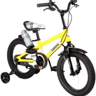 Велосипед Capella: огляд дитячих 2 – і 3-колісних велосипедів. Яких кольорів бувають? Хто є виробником? Поради щодо вибору