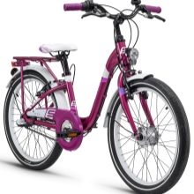 Велосипед для дівчинки (30 фото): кращі дитячі рожеві і фіолетові моделі, вибираємо двоколісні та триколісні велосипеди