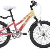 Велосипед для дівчинки (30 фото): кращі дитячі рожеві і фіолетові моделі, вибираємо двоколісні та триколісні велосипеди