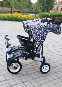 Велосипед для двійні: дитячий двомісний триколісний велосипед з ручкою для двійнят, моделі з двома кріслами для дітей різного віку