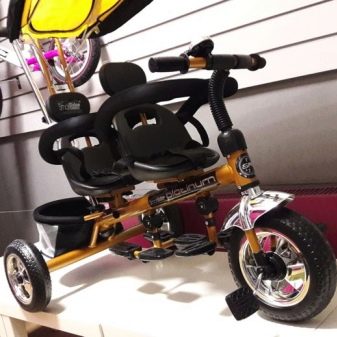 Велосипед для двійні: дитячий двомісний триколісний велосипед з ручкою для двійнят, моделі з двома кріслами для дітей різного віку