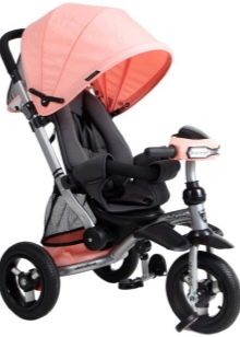 Велосипед-коляска для дитини (45 фото): вибір дитячих триколісних велоколясок від 1 року, огляд складних моделей прогулянкових