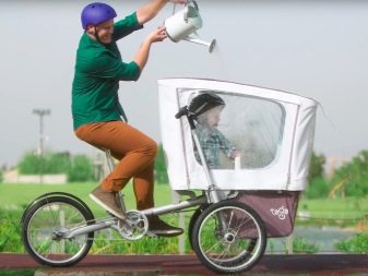 Велосипед-коляска: особливості велоколясок для мами з дитиною, дитячий трансформер і дорослі моделі з люлькою