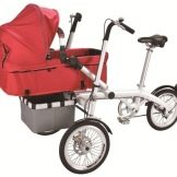 Велосипед-коляска: особливості велоколясок для мами з дитиною, дитячий трансформер і дорослі моделі з люлькою