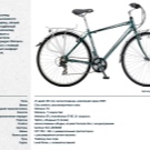 Велосипед на литих дисках (35 фото): плюси і мінуси лиття замість спиць, велосипедні диски Green Bike і Porsche, Audi і Ferrari, відгуки власників