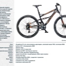 Велосипед на литих дисках (35 фото): плюси і мінуси лиття замість спиць, велосипедні диски Green Bike і Porsche, Audi і Ferrari, відгуки власників