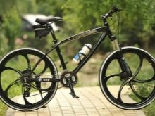 Велосипед на литих дисках (35 фото): плюси і мінуси лиття замість спиць, велосипедні диски Green Bike і Porsche, Audi і Ferrari, відгуки власників