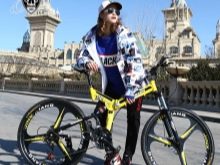 Велосипед на литих дисках (35 фото): плюси і мінуси лиття замість спиць, велосипедні диски Green Bike і Porsche, Audi і Ferrari, відгуки власників