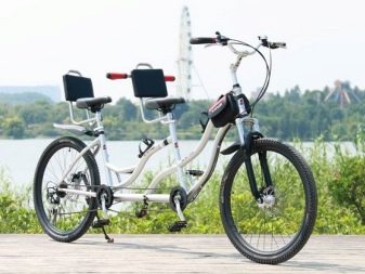 Велосипед-тандем (29 фото): як називається двомісний велосипед з двома сидіннями? Особливості трьох – та чотириколісних велотандемов