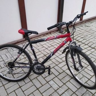 Велосипед Top Gear: характеристики моделей Neon 225 і Eco, Nova 120 та інших. Дитячі велосипеди з колесами на 24 і 26 дюймів. Огляд відгуків