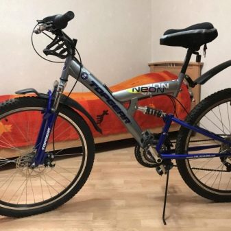 Велосипед Top Gear: характеристики моделей Neon 225 і Eco, Nova 120 та інших. Дитячі велосипеди з колесами на 24 і 26 дюймів. Огляд відгуків