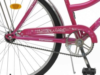 Велосипед Top Gear: характеристики моделей Neon 225 і Eco, Nova 120 та інших. Дитячі велосипеди з колесами на 24 і 26 дюймів. Огляд відгуків