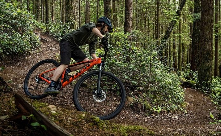 Велосипед з колесами 29 дюймів: плюси і мінуси діаметра коліс 29 дюймів, моделі з алюмінієвою рамою розміром 21, 22, 23