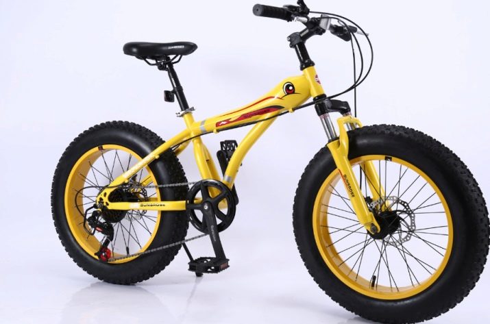 Велосипеди 20 дюймів: на який вік підходять велосипеди з діаметром коліс 20 дюймів? Огляд легких моделей з алюмінієвою рамою, рейтинг кращих моделей