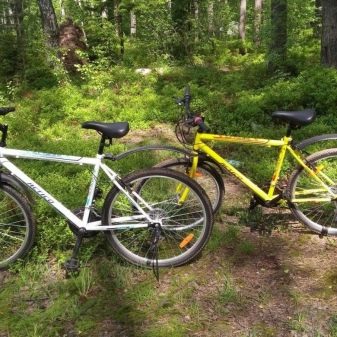 Велосипеди Actico: дитячі і дорослі велосипеди Actico 26 і 20, інші моделі. Відгуки власників