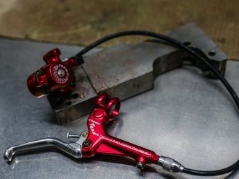 Велосипеди для дівчаток 8-9 років: як вибрати дитячий велосипед для дівчаток 8-9 років? Спортивні та інші моделі