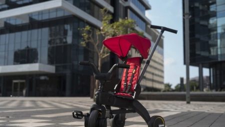 Велосипеди Doona: характеристики велосипедів для малюків Liki Trike S3 і Liki Trike S1. Як скласти велосипед для маленьких дітей?