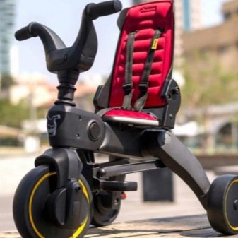 Велосипеди Doona: характеристики велосипедів для малюків Liki Trike S3 і Liki Trike S1. Як скласти велосипед для маленьких дітей?