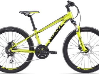 Велосипеди Giant: опис велосипедів Giant XTC та Escape, Revel і Anthem, Roam і Talon, інші моделі марки. Відгуки власників