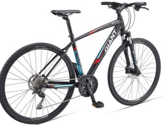 Велосипеди Giant: опис велосипедів Giant XTC та Escape, Revel і Anthem, Roam і Talon, інші моделі марки. Відгуки власників