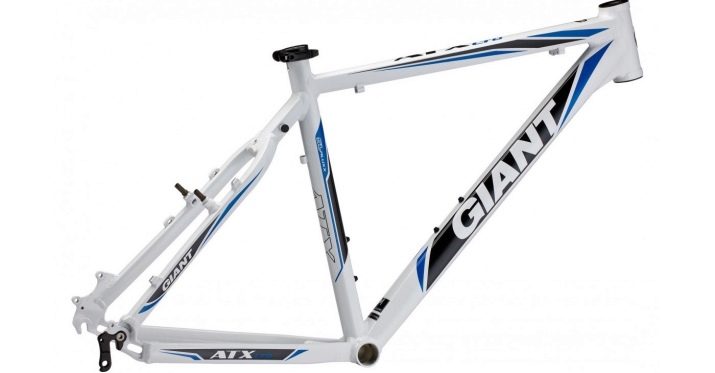 Велосипеди Giant: опис велосипедів Giant XTC та Escape, Revel і Anthem, Roam і Talon, інші моделі марки. Відгуки власників