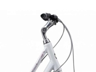 Велосипеди Giant: опис велосипедів Giant XTC та Escape, Revel і Anthem, Roam і Talon, інші моделі марки. Відгуки власників