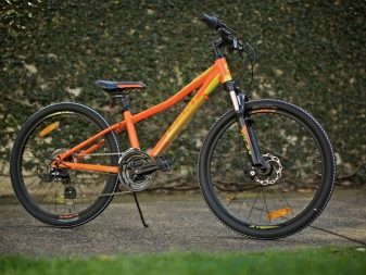 Велосипеди Giant: опис велосипедів Giant XTC та Escape, Revel і Anthem, Roam і Talon, інші моделі марки. Відгуки власників